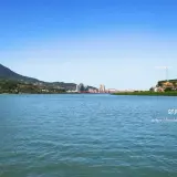 00024 社子島頭公園遠眺關渡大橋