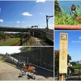 00009 社子島自行車道