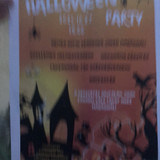 IMG 2245
