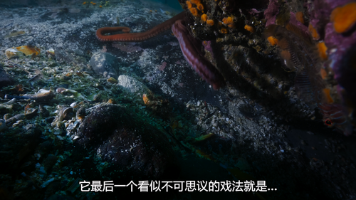 Big.Beasts.S01E01.The.Grey.Whale.2160p.ATVP.WEB DL.DDP5.1.Atmos.DV.HEVC HHWEB.mkv 20241201 181241.63.png