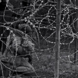 Zielona.granica.AKA.Green.Border.2023.1080p.BluRay.PL.DDP5.1.x264 PTer.mkv snapshot 00.09.25 [2024.1