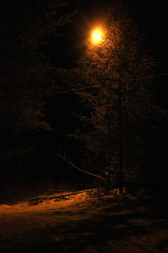 IMG 2908.jpg