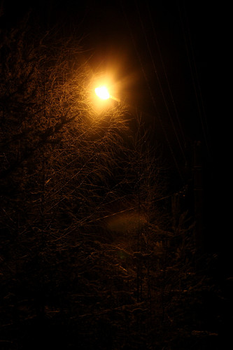 IMG 2905a.jpg