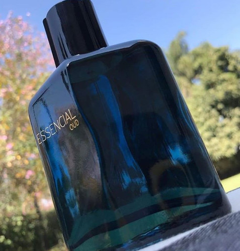 Essencial Oud.jpg