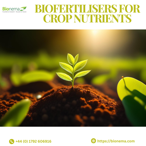 Biofertilizers: Sustainable Solutions for Crop Nutrition.png