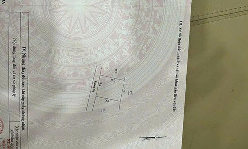 468968117 2562959254093823 7552493696252629832 n.jpg