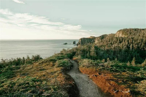 Book Now Luxury Vacation Rentals Trinity Bay With Lodging at Goose Cove.jpg