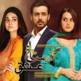 t134 gustakh ishq card