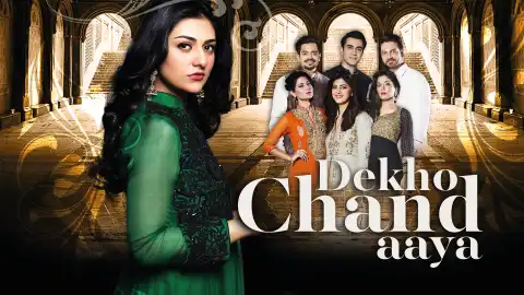 t123 dekho chand aaya card.webp