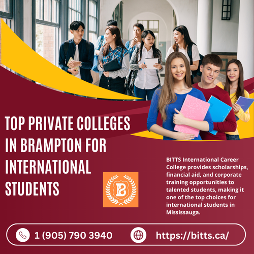 Top Private Colleges In Brampton for International Students.png