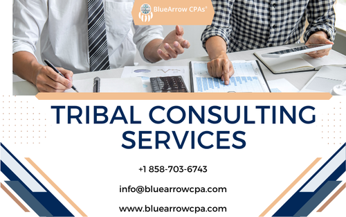 Tribal Consulting Services (2).png