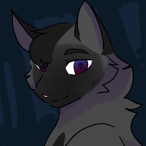 download20240105215343