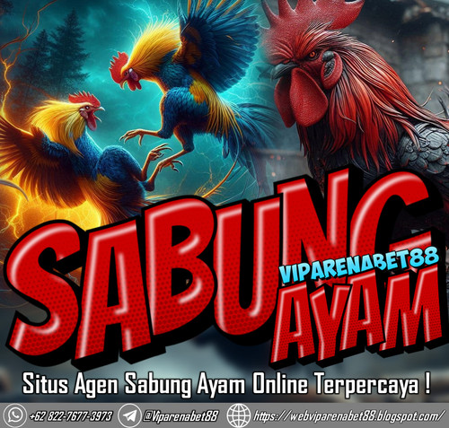SITUS AGEN SABUNG AYAM ONLINE TERPERCAYA CLUB388  | AGEN CLUB388.jpg