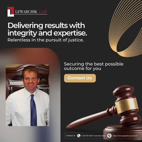 Top Appellate Lawyer in Chicago, Michigan & Detroit  | Appeal Counsel.jpg