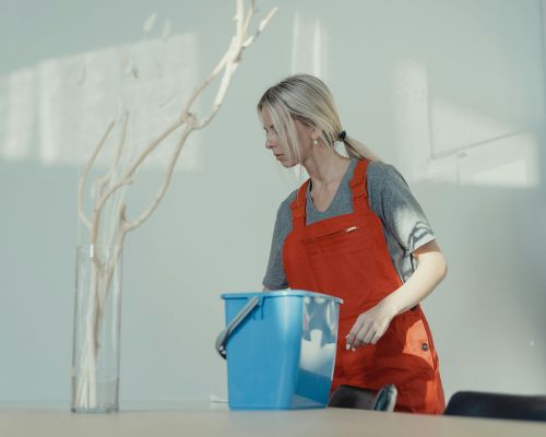 Residential house cleaning riverside ca 92507.jpg