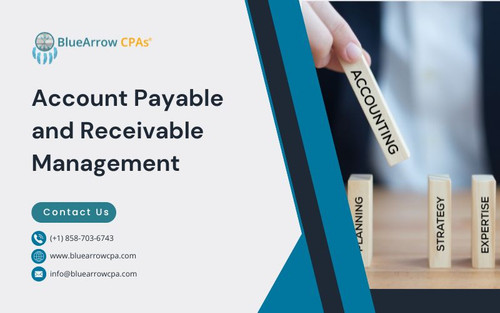 Account Payable and Receivable Management BAI 1.jpg