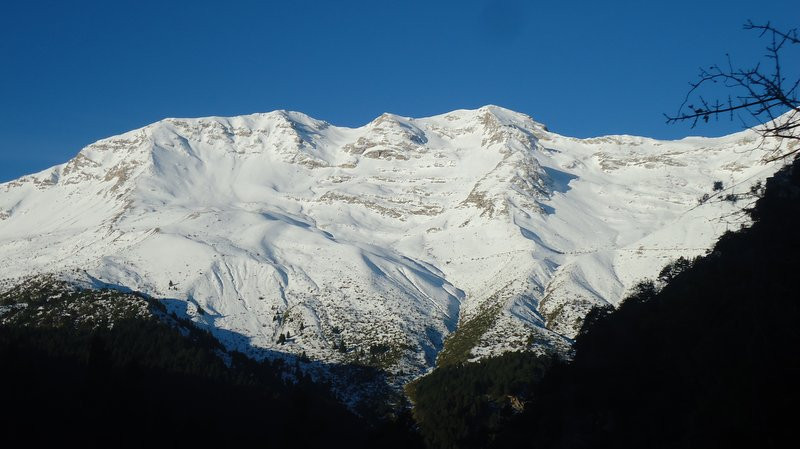 κοζάνη, ειδήσεις, νέα, Πτολεμαΐδα 