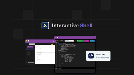 Instant access web terminals with an interactive IDE