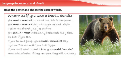 1LAD p63AfterEx5.jpg