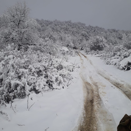 IMG 20181230 WA0002.jpg