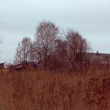 IMG 2861