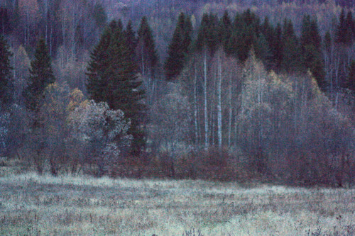 IMG 2869a.jpg