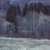 IMG 2869a