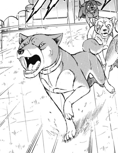 2024 10 18 0us Kleki.png