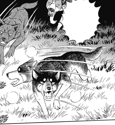 2024 10 18 0oe Kleki