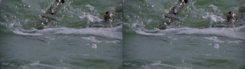 Jaws 2 (1978) {imdb tt0077766} {edition 3D Conv}jaws 2 [Bluray 1080p][3D][DTS HD MA 2.0][x264][SBS] .jpg