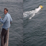 Jaws (1975) {imdb tt0073195} {edition 3D Conv} [Bluray 1080p][3D][DTS HD MA 7.1][x264][SBS] Ziggy.mk