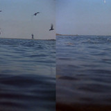 Jaws (1975) {imdb tt0073195} {edition 3D Conv} [Bluray 1080p][3D][DTS HD MA 7.1][x264][SBS] Ziggy.mk