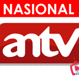 antv.png