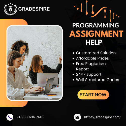 Expert Guidance for Your Online Programming Assignments Anytime, Anywhere.png