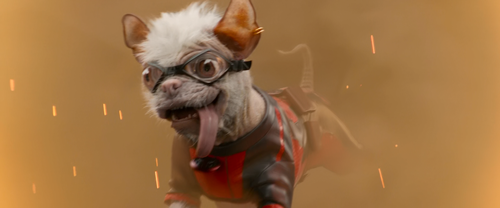 ccv650.png