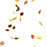 coin.gif
