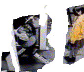 ezgif 6 faae31086b.gif