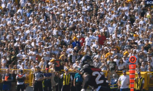 GIF 10 20 2024 12 42 47 PM.gif