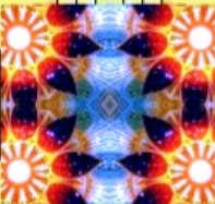 Imagen de WhatsApp 2024 10 19 a las 19.47.09 05814538.jpg