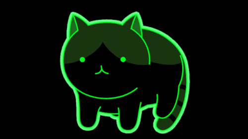 loading cat.gif