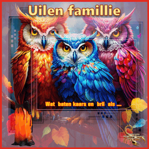 Wat baten kaars en bril als ....gif