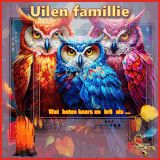 Wat baten kaars en bril als ...