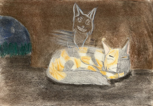 Moonpaw’s vision.jpg