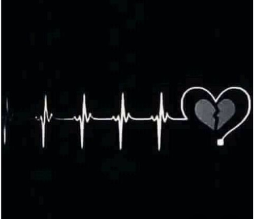 IMG ٢٠٢٥٠١١٣ ٢١٥٤٢٣