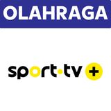 Sport TV +