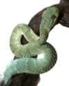 ezgif 4 f49b6f55d8.png