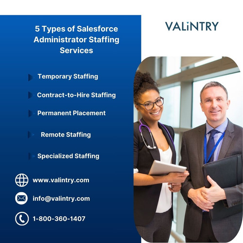 5 Types of Salesforce Administrator Staffing Services.jpg