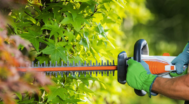 Hedge Trimming