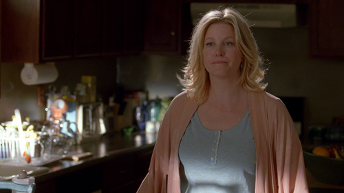 Breaking.Bad.S04E01.2160p.NF.WEB DL.DDP5.1.HEVC.DUAL PD 004.png