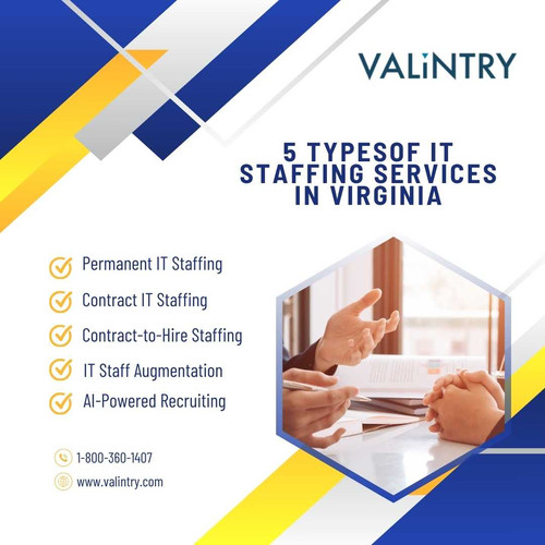 5 typesof IT Staffing Services in Virginia.jpg